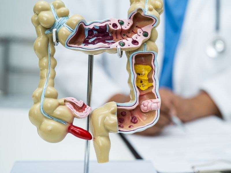 biorezonans-bagirsaklari-nasil-etkileyebilir